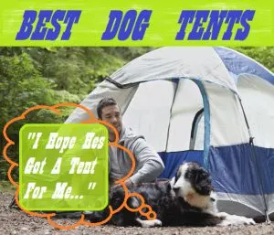 Best Tents For Dogs My Top 5 Reviews