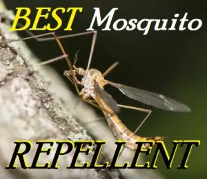 Mosquito Repellent Band Alternatives