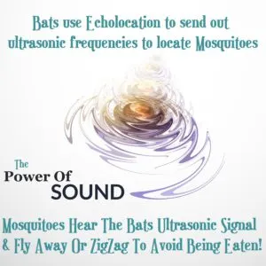How ultrasonic frequencies deter mosquitoes