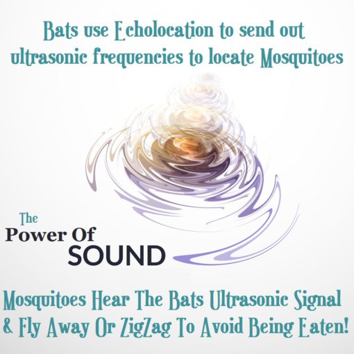 How ultrasonic frequencies deter mosquitoes