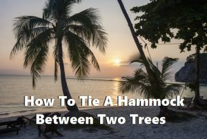 How To Tie A Hammock To A Tree