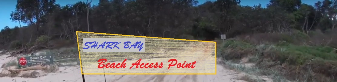 Bundjalung National Park Beach Access Point