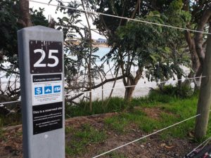 Site 25 Sandon River NSW