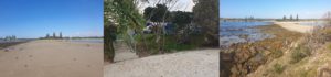 The Views Camping At Sandon River