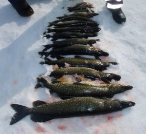 How Ice Fishing Insulation Works