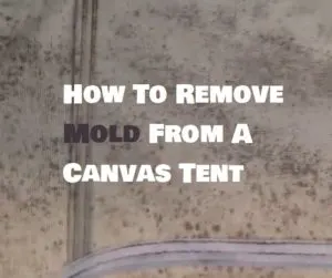 How To Remove Mold From A Canvas Tent