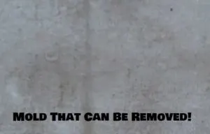 How To Remove Mold From Canvas Material