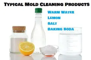 Natural Mold Cleaning Products For Mold