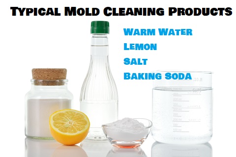 Natural Mold Cleaning Products For Mold